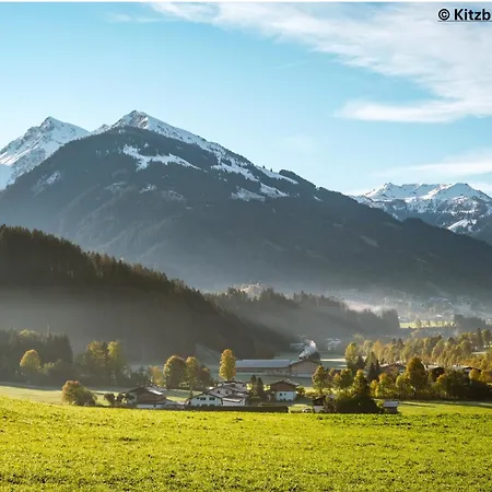 Löw 3 In The Heart Of By 360 Estates